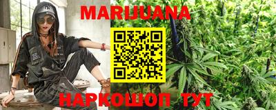 гашик Гуково