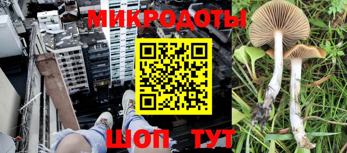 Горно-Алтайск  Псилоцибиновые грибы Psilocybine cubensis  продажа наркотиков  Вход с VPN 