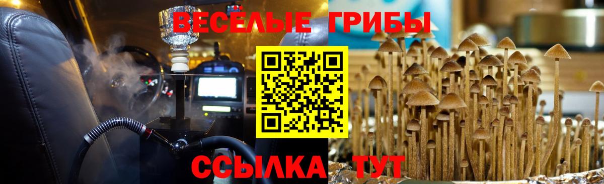 Галлюциногенные грибы Magic Shrooms Горно-Алтайск